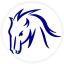 author-avatar